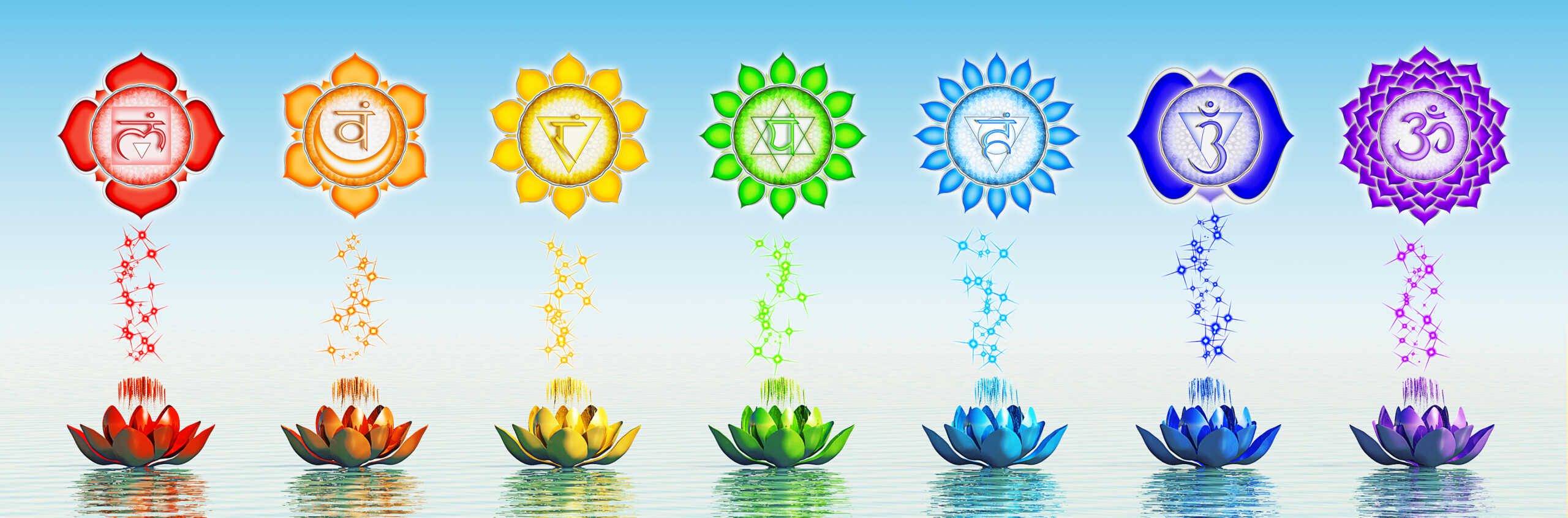 Image of Full Body System Wellness elements, 7 flowers of the colors of the rainbow with energy symbols